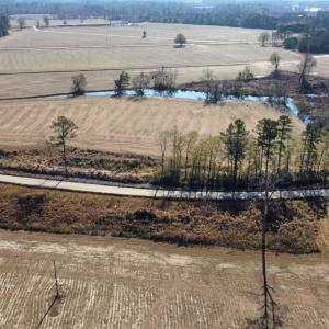 Photo #4 of Off of Black Creek Rd, Nichols, SC 72.5 acres