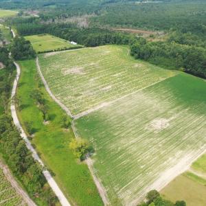 Photo #19 of Off of Black Creek Rd, Nichols, SC 72.5 acres