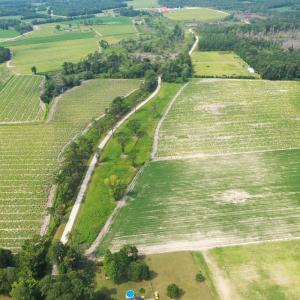 Photo #22 of Off of Black Creek Rd, Nichols, SC 72.5 acres