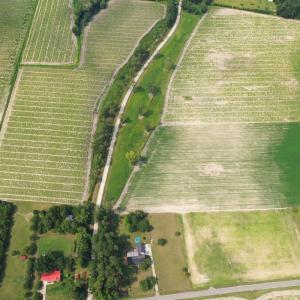 Photo #25 of Off of Black Creek Rd, Nichols, SC 72.5 acres