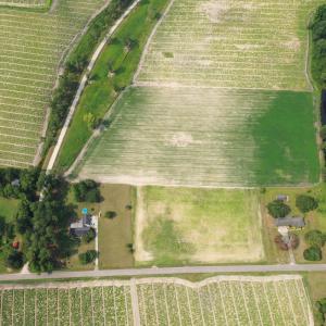 Photo #26 of Off of Black Creek Rd, Nichols, SC 72.5 acres