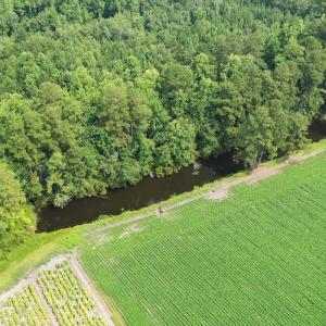 Photo #35 of Off of Black Creek Rd, Nichols, SC 72.5 acres