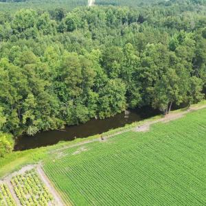 Photo #36 of Off of Black Creek Rd, Nichols, SC 72.5 acres