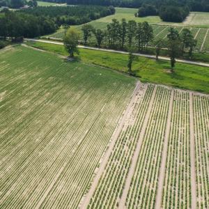 Photo #39 of Off of Black Creek Rd, Nichols, SC 72.5 acres