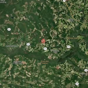 Photo #45 of Off of Black Creek Rd, Nichols, SC 72.5 acres