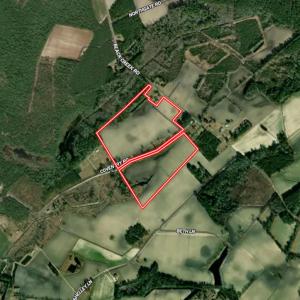 Photo #46 of Off of Black Creek Rd, Nichols, SC 72.5 acres