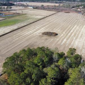 Photo #1 of Off of Shelley Ln, Nichols, SC 35.7 acres