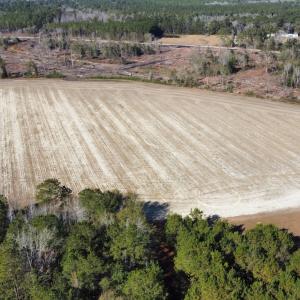 Photo #2 of Off of Shelley Ln, Nichols, SC 35.7 acres