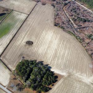 Photo #3 of Off of Shelley Ln, Nichols, SC 35.7 acres