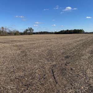 Photo #20 of Off of Shelley Ln, Nichols, SC 35.7 acres