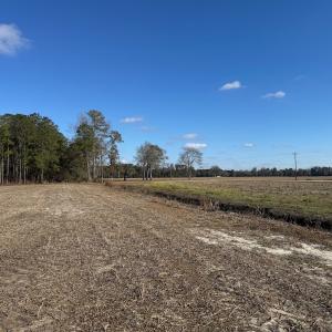 Photo #22 of Off of Shelley Ln, Nichols, SC 35.7 acres