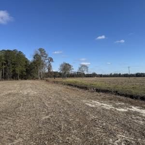 Photo #24 of Off of Shelley Ln, Nichols, SC 35.7 acres