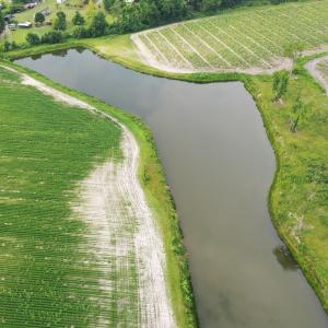 Photo #1 of Off of Beth Ln, Nichols, SC 45.5 acres