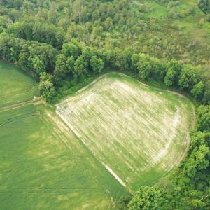Photo #9 of Off of Beth Ln, Nichols, SC 45.5 acres