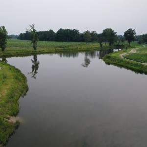 Photo #23 of Off of Beth Ln, Nichols, SC 45.5 acres