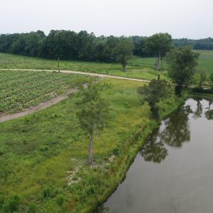 Photo #24 of Off of Beth Ln, Nichols, SC 45.5 acres