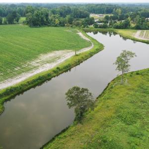 Photo #25 of Off of Beth Ln, Nichols, SC 45.5 acres