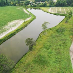 Photo #26 of Off of Beth Ln, Nichols, SC 45.5 acres