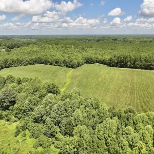 Photo #10 of Lot 3 Mobley Rd, Lucama, NC 15.8 acres