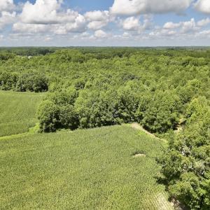 Photo #11 of Lot 3 Mobley Rd, Lucama, NC 15.8 acres