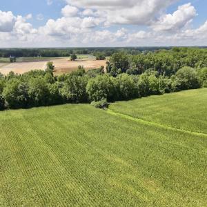Photo #12 of Lot 3 Mobley Rd, Lucama, NC 15.8 acres