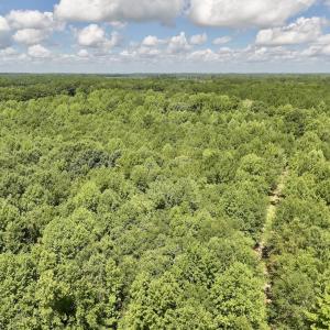 Photo #13 of Lot 3 Mobley Rd, Lucama, NC 15.8 acres