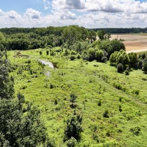 Photo #19 of Lot 3 Mobley Rd, Lucama, NC 15.8 acres