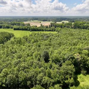 Photo #1 of Lot 3 Mobley Rd, Lucama, NC 15.8 acres