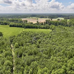 Photo #2 of Lot 3 Mobley Rd, Lucama, NC 15.8 acres