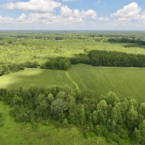 Photo #27 of Lot 3 Mobley Rd, Lucama, NC 15.8 acres