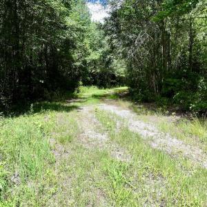Photo #29 of Lot 3 Mobley Rd, Lucama, NC 15.8 acres