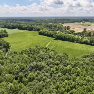 Photo #3 of Lot 3 Mobley Rd, Lucama, NC 15.8 acres