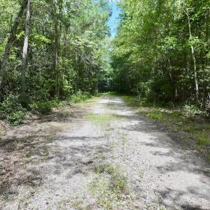 Photo #30 of Lot 3 Mobley Rd, Lucama, NC 15.8 acres