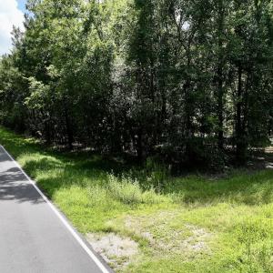 Photo #31 of Lot 3 Mobley Rd, Lucama, NC 15.8 acres