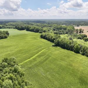 Photo #4 of Lot 3 Mobley Rd, Lucama, NC 15.8 acres