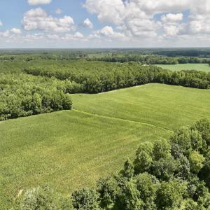 Photo #5 of Lot 3 Mobley Rd, Lucama, NC 15.8 acres