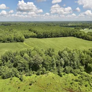 Photo #6 of Lot 3 Mobley Rd, Lucama, NC 15.8 acres