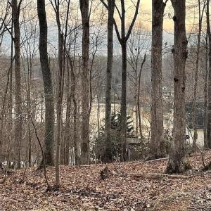 Photo #15 of Off of Charmwood Cir, Moneta, VA 0.7 acres