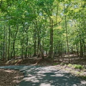 Photo #17 of Off of Charmwood Cir, Moneta, VA 0.7 acres