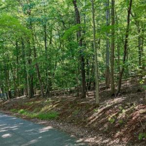 Photo #18 of Off of Charmwood Cir, Moneta, VA 0.7 acres