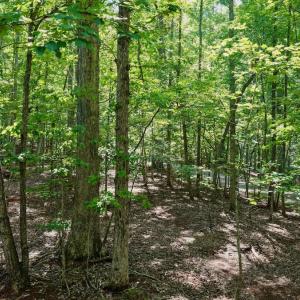 Photo #19 of Off of Charmwood Cir, Moneta, VA 0.7 acres