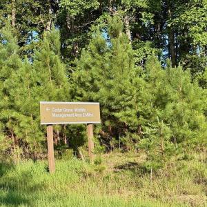 Photo #15 of 1031 Rock Church Road, Clarksville, VA 9.4 acres