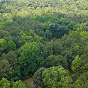 Photo #30 of 1031 Rock Church Road, Clarksville, VA 9.4 acres