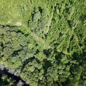 Photo #11 of Off of W Magnolia Lisbon Rd, Garland, NC 12.0 acres