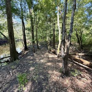 Photo #12 of Off of W Magnolia Lisbon Rd, Garland, NC 12.0 acres