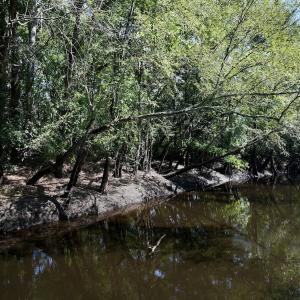 Photo #15 of Off of W Magnolia Lisbon Rd, Garland, NC 12.0 acres