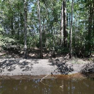 Photo #16 of Off of W Magnolia Lisbon Rd, Garland, NC 12.0 acres