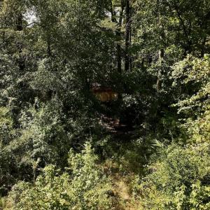 Photo #19 of Off of W Magnolia Lisbon Rd, Garland, NC 12.0 acres