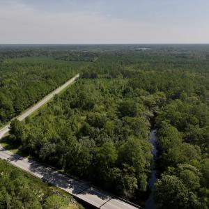 Photo #2 of Off of W Magnolia Lisbon Rd, Garland, NC 12.0 acres