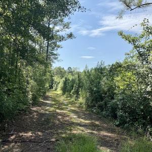 Photo #25 of Off of W Magnolia Lisbon Rd, Garland, NC 12.0 acres